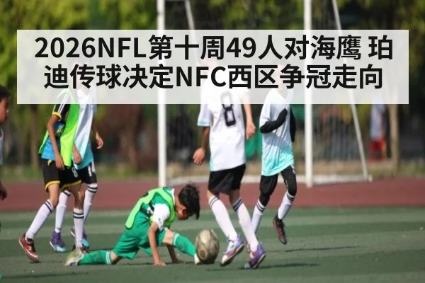 2026NFL第十周49人对海鹰 珀迪传球决定NFC西区争冠走向